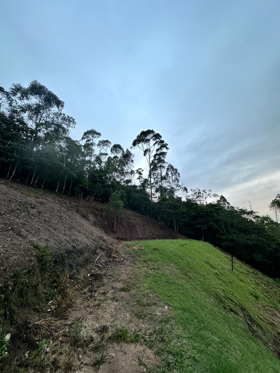 Imagem 4 da propriedade